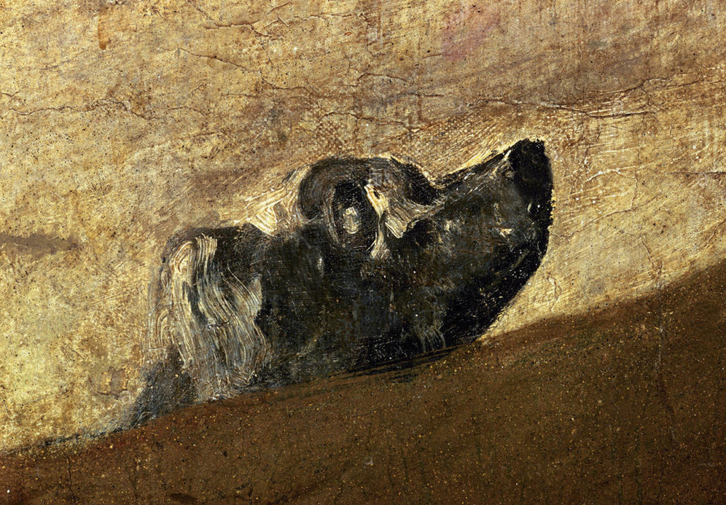 « Le Chien » de Goya les manières de voir. par Gérard
